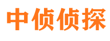 麦盖提市私家侦探